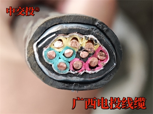 ZRA-KVVP2-22 屏蔽控制電纜